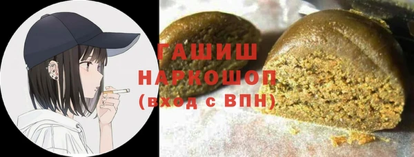 spice Богородицк